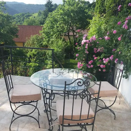 Appartement Spirii House à Braşov Extérieur photo